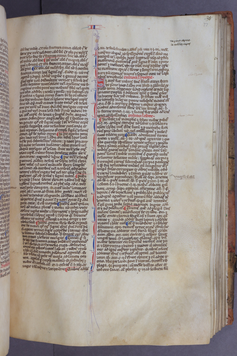 Folio 37 recto